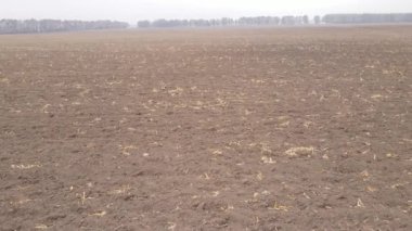 Sonbaharda boş tarla, hava manzarası