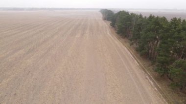 Sonbaharda boş tarla, hava manzarası