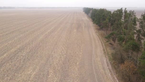 Campo arado vacío en otoño, vista aérea — Vídeos de Stock