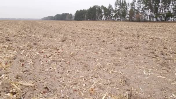 Campo arado vacío en otoño, vista aérea — Vídeo de stock