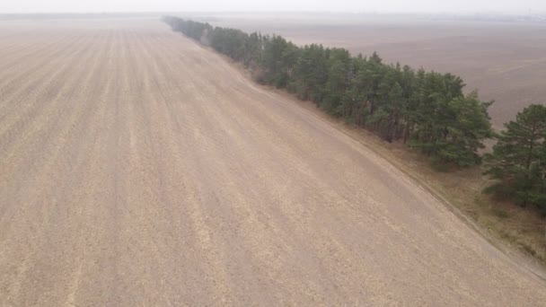 Campo arado vazio no outono, vista aérea — Vídeo de Stock