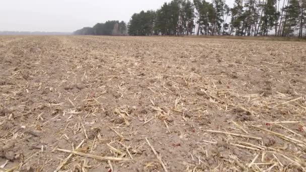 Campo arado vacío en otoño, vista aérea — Vídeos de Stock