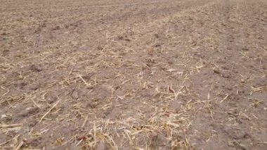 Sonbaharda boş tarla, hava manzarası