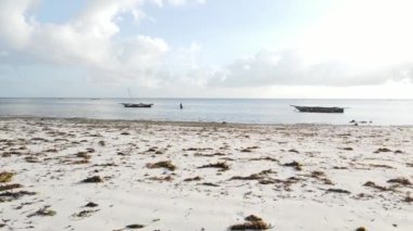 Zanzibar 'da sular çekildiğinde sahilde yürüyen bir kadın.
