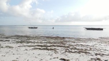 Zanzibar 'da sular çekildiğinde sahilde yürüyen bir kadın.