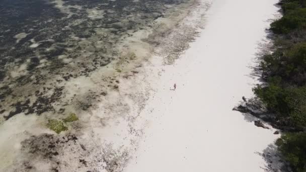 Mulher andando na praia na maré baixa maré baixa em Zanzibar — Vídeo de Stock