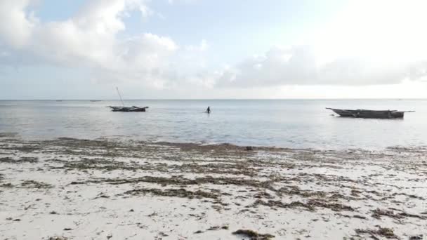 Mujer caminando en la playa con marea baja marea baja en Zanzíbar — Vídeo de stock