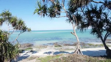 Zanzibar, Tanzanya - adanın kıyısındaki okyanusun havadan görünüşü, yavaş çekim