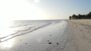 Zanzibar, Tanzanya - adanın kıyısındaki okyanusun havadan görünüşü, yavaş çekim