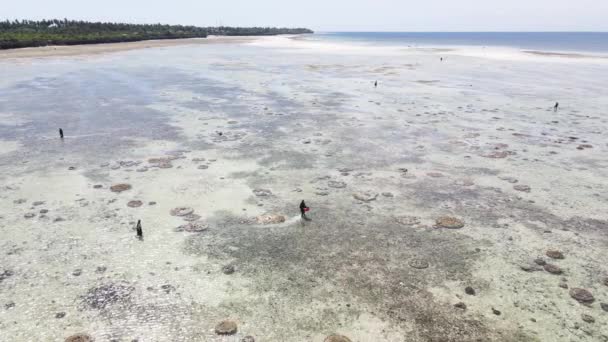 Zanzibar, Tanzania - vanuit de lucht uitzicht op de oceaan bij de kust van het eiland, slow motion — Stockvideo