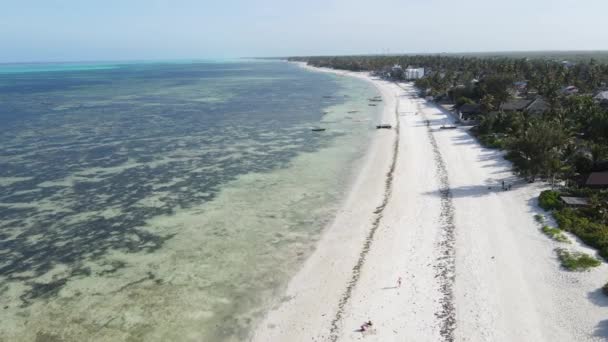 Вид з повітря на Індійський океан біля берега острова Занзібар (Танзанія) сповільнився. — стокове відео