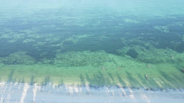 Zanzibar, Tanzania - widok z lotu ptaka nad brzegiem wyspy, zwolnione tempo — Wideo stockowe