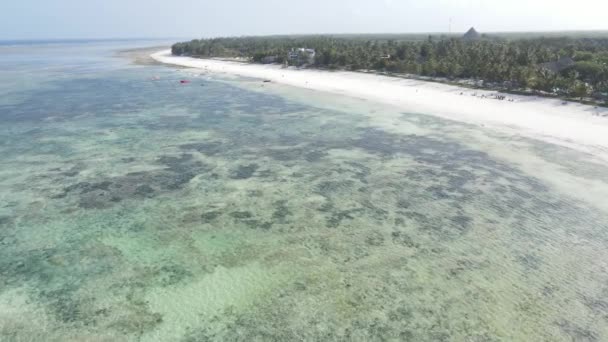 Tanzanya 'nın Zanzibar adasının kıyısındaki okyanus, yavaş çekim — Stok video