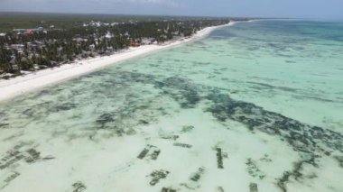 Zanzibar, Tanzanya - adanın kıyısındaki okyanusun havadan görünüşü, yavaş çekim