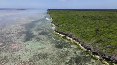 Tanzanya 'nın Zanzibar adasının kıyısındaki Hint Okyanusu' nun hava manzarası, yavaş çekim