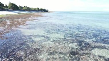 Zanzibar, Tanzanya - adanın kıyısındaki okyanusun havadan görünüşü, yavaş çekim