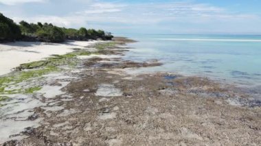 Zanzibar, Tanzanya - adanın kıyısındaki okyanusun havadan görünüşü, yavaş çekim