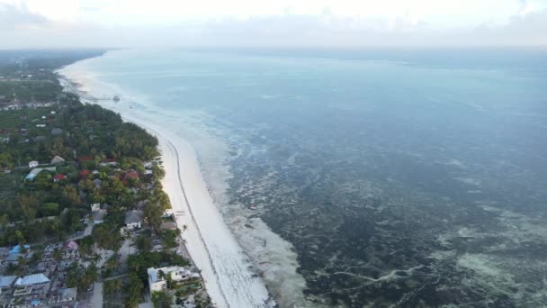 Zanzibar, Tanzania Veduta aerea dell'oceano vicino alla riva dell'isola, rallentatore — Video Stock