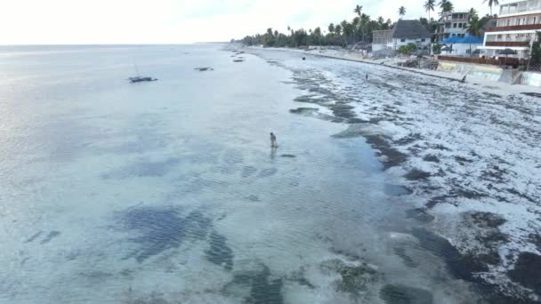 Zanzibar, Tanzania - Flygfoto över havet nära stranden av ön, slow motion — Stockvideo