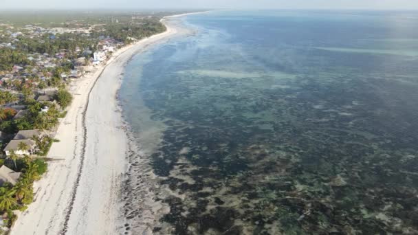 Veduta aerea dell'Oceano Indiano vicino alla riva dell'isola di Zanzibar, Tanzania, rallentatore — Video Stock