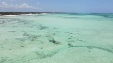 Tanzanya 'nın Zanzibar adasının kıyısındaki okyanus, yavaş çekim