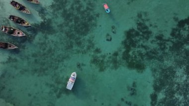 Zanzibar, Tanzanya - adanın kıyısındaki okyanusun havadan görünüşü, yavaş çekim