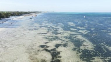 Zanzibar, Tanzanya - adanın kıyısındaki okyanusun havadan görünüşü, yavaş çekim