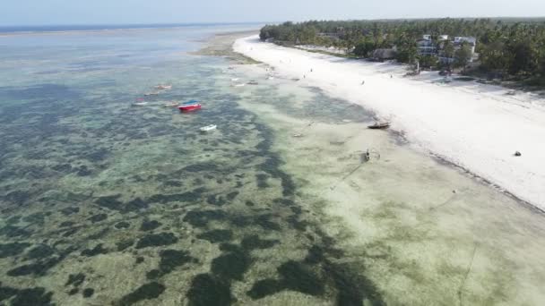 Ocean near the coast of Zanzibar island, Tanzania, slow motion — Stock Video