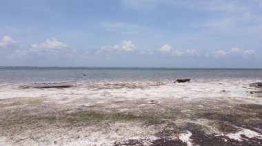 Tanzanya 'nın Zanzibar kıyısındaki okyanusta gelgit, yavaş çekim