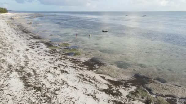 Luftaufnahme von Ebbe im Ozean nahe der Küste von Sansibar, Tansania, Zeitlupe — Stockvideo