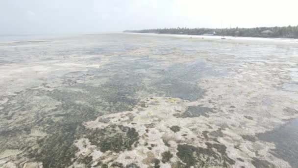 Luchtfoto van laagwater in de oceaan nabij de kust van Zanzibar, Tanzania, slow motion — Stockvideo