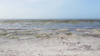 Tanzanya 'nın Zanzibar kıyısındaki okyanusta alçak gelgit manzarası, yavaş çekim