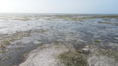 Zanzibar, Tanzanya - kıyıya yakın okyanusta alçak gelgitin havadan görüntüsü