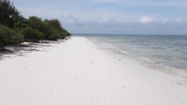 Zanzibar, Tanzanya - kıyıya yakın okyanusta alçak gelgitin havadan görüntüsü