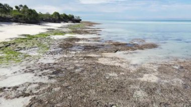 Zanzibar, Tanzanya - kıyıya yakın okyanusta alçak gelgitin havadan görüntüsü