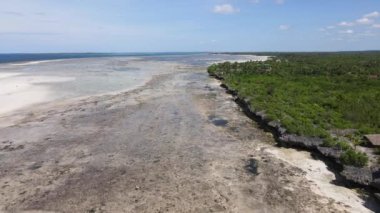 Tanzanya 'nın Zanzibar kıyısındaki okyanusta gelgit, yavaş çekim