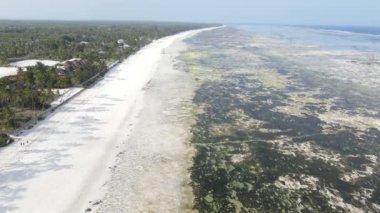 Okyanus, Tanzanya 'nın Zanzibar adası kıyısında gelgitte, yavaş çekim