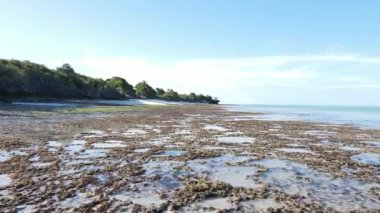 Tanzanya 'nın Zanzibar kıyısındaki okyanusta alçak gelgit manzarası, yavaş çekim