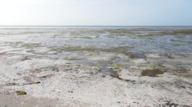 Tanzanya 'nın Zanzibar kıyısındaki okyanusta alçak gelgit manzarası, yavaş çekim