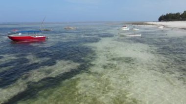 Zanzibar, Tanzanya - kıyıya yakın okyanusta alçak gelgitin havadan görüntüsü