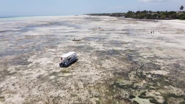 Zanzíbar, Tanzania - vista aérea de la marea baja en el océano cerca de la costa — Vídeo de stock