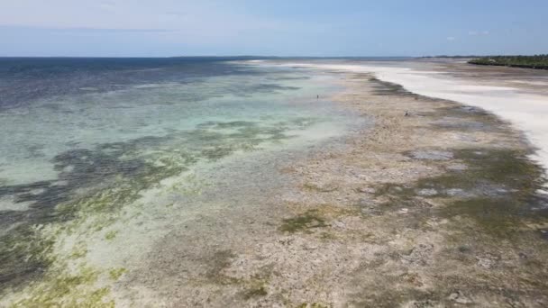 Zanzibar, Tanzanya - kıyıya yakın okyanusta alçak gelgitin havadan görüntüsü — Stok video