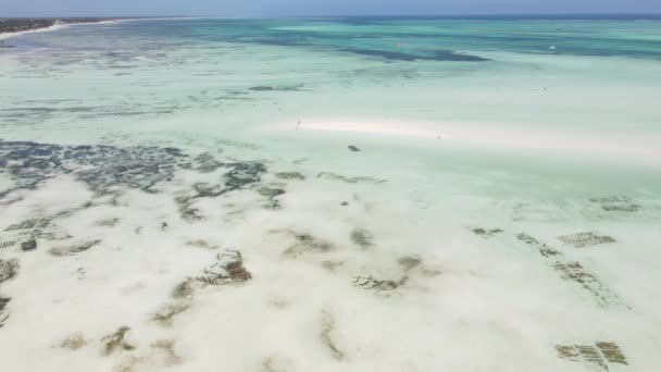 Ακτή του νησιού Ζανζιβάρη, Τανζανία σε χαμηλή παλίρροια, αργή κίνηση — Αρχείο Βίντεο