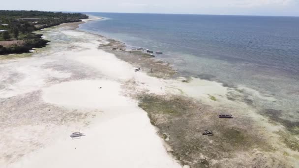 Aerial view of low tide in the ocean near the coast of Zanzibar, Tanzania, slow motion — Stock Video