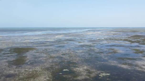 Oceaan bij eb bij de kust van Zanzibar eiland, Tanzania, slow motion — Stockvideo