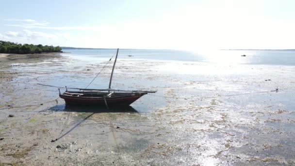 잔지바르, 탄자니아 - 해안 근처 바다에서 볼 수있는 썰물의 공중 사진 — 비디오