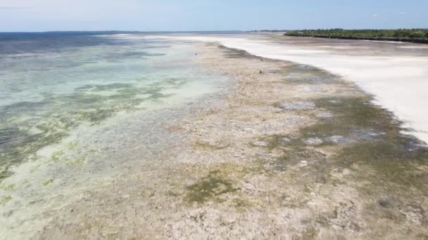 Bassa marea nell'oceano vicino alla costa di Zanzibar, Tanzania, rallentatore — Video Stock