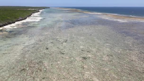 Shore of Zanzibar island, Tanzania at low tide, slow motion — Stock Video