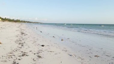 Tanzanya 'nın Zanzibar kıyısındaki okyanusta gelgit, yavaş çekim