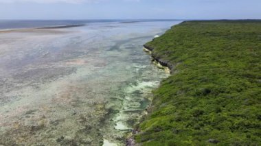 Zanzibar adasının kıyısı, Tanzanya, alçak gelgit, yavaş çekim